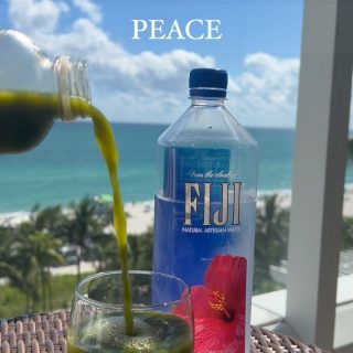 This part of my life is called peace 🌱 

#selfcare #healthandwellness #greensmoothie #pressedjuice #healthiswealth #oceanfrontproperty #oceanfront #mindsetshift #mindset #personalgrowth